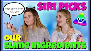 SIRI CHOOSES OUR SLIME INGREDIENTS CHALLENGE | SIS VS SIS | Taylor and Vanessa