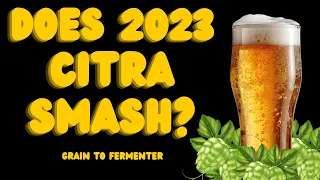 DOES '2023' CITRA SMASH? | CITRA SMaSH | GRAIN TO FERMENTER | BATCH SPARGE