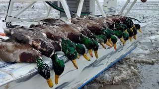 Hunting The Storm! Amazing Mallard Hunt. | Utah Water fowl hunting at it's best. Wasatch Front!