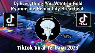 Dj Everything You Want In Gold- Ryaninside Remix Lily Breakbeat  Viral Tiktok 2023
