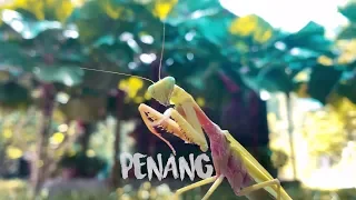 Escape Theme Park Penang 2019 HD