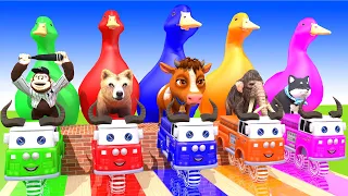 5 Giant Duck, Monkey, Piglet, chicken, lion, cat, cow, Sheep, Transfiguration funny animal 2023