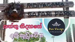 සත්තු නිදහසේ ඉන්න හැටි බලන්න  - Ridiyagama Safari Park! 🦓🐘