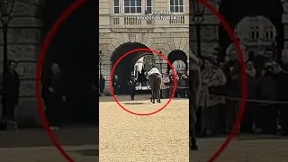 ANOTHER King’s Guard horse attempted to escape in central London
