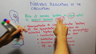 CVS physiology 119. Role of nervous system in rapid control of arterial pressure.