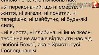 Доброго ранку Україно І Good morning Ukraine І 17 січня