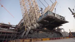 Top 5 World’s Largest Crawler Crane in 2023