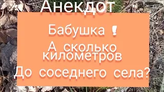 анекдот про принцессу и нетолько, смешные анекдоты, сборник, юмор самые лучшие шутки и приколы, топ