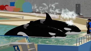 ORCA PRESENTATION!! -8/3/2023- (MMRC Marineland Antibes Roblox)