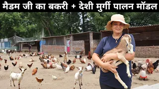 ऐसा शानदार फॉर्म रोज देखने को नहीं मिलता | Goat Farming | Integrated Goat and Poultry Farm