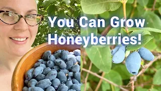 Start Berry Season a Whole MONTH Earlier: All About Honeyberries