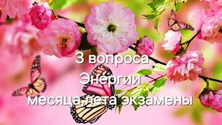 3 вопроса 💥 Как пройдёт месяц. Как сдашь экзамены. События лета. 💥