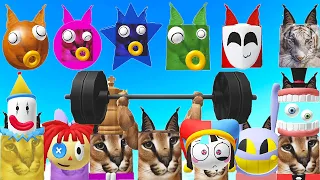 How to get ALL 21 NEW FLOPPA MORPHS in Find the Floppa Morphs for Roblox