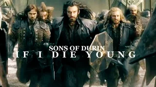 Sons of Durin || If I die young