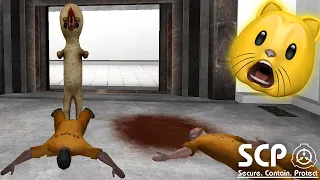 SCP Containment Breach | Fan Choice FRIGHTday