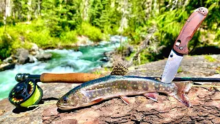 REMOTE Mountain TROUT FISHING!!! 4-Day Catch, Cook, Camp