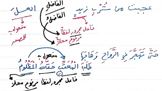 شرح ألفية ابن مالك - 157 - آخر باب إعمال المصدر