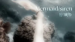 ₊𝅄 ▾   ִִֶָ  requested: mermaid/siren hybrid 🤍 ❴ subliminal ❵  🦢