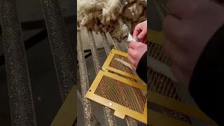 Montana Wool Operation