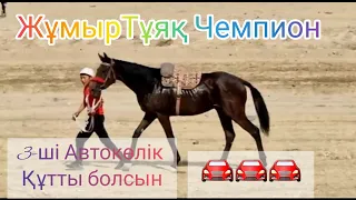 ҚҰНАН бәйге 14 км. ЖұмырТұяқ Чемпион. 16.10.2022 жыл Жамбыл облысы, Қордай