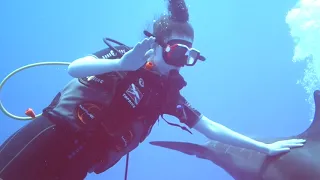 Rangiroa Scuba Diving