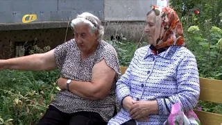 НА ЛЕНИНА, 60/4 ДЕРЕВЬЯ ВЫРУБИЛИ РАДИ ПАРКОВКИ