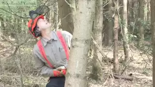 Felling a hung up tree - safety first