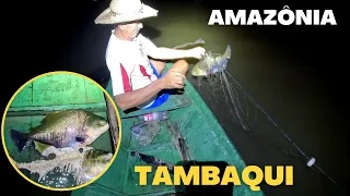 Pescaria NOTURNA de TAMBAQUI com malhadeira no AMAZONAS