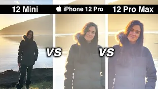 iPhone 12 Pro Max vs 12 Pro vs 12 Mini! LOW LIGHT SURPRISE! Camera Test Comparison - Day and Night