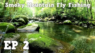 Fly Fishing The Smokies| Porters Creek | Greenbriar EP 2