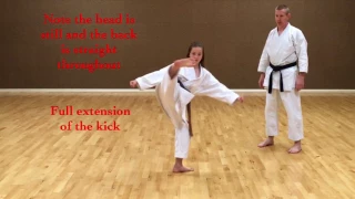 Mawashi-geri (Roundhouse kick)