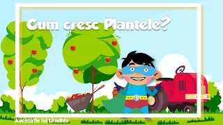 Cum cresc Plantele - Aventurile lui LittleEdu