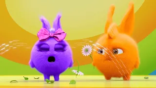 Sunny Bunnies | My Flower ! | SUNNY BUNNIES COMPILATION | Videos For Kids