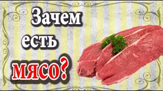 Зачем есть мясо