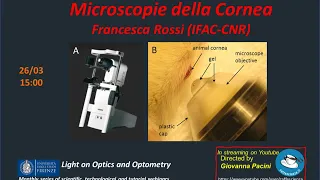 Light on Optics and Optometry - Microscopie della cornea
