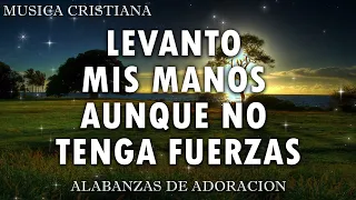 CANCIONES CRISTIANAS PODEROSAS PARA SENTIR LA PRESENCIA DE DIOS - HIMNOS CRISTIANOS 2024