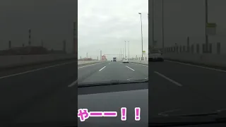 😮エグいフェラーリサウンド😲