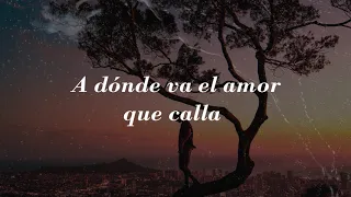 A Dónde Va El Amor  🎶 Ricardo Montaner - (Letra)