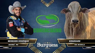 MELHORES MOMENTOS de QUARTA FEIRA - Live Burguesa CRP 2020 / 17ª Etapa