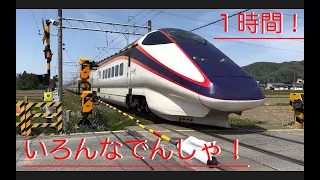 【電車】人気【いろんなでんしゃ】踏切総集編たっぷり１時間３０分！新幹線　特急 205seri train video japan railway crossing つばさ　こまち　SL  踏切カンカン