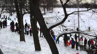 Fun sledding in Brooklyn, a day after Winter Storm Jonas