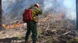 В Югре готовятся противостоять лесным пожарам