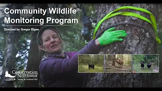 Community Wildlife Monitoring Program | 2022 Promo | Directed by Gregor Elgee