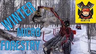 Micro Forestry Winter Firewood Cutting With Kubota Power and Kranman Timber Trailer -E110