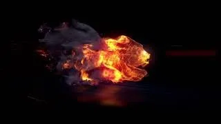 Running Fire Lion Intro No Copyright | Intro Kesse Baney?