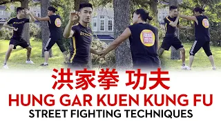 Hung Gar Kuen Kung Fu Street Fighting Techniques 洪家拳功夫技術