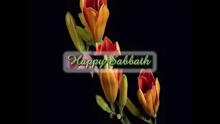 Happy Sabbath