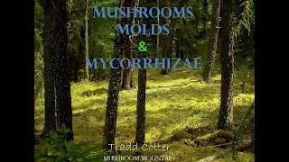 HAWK: Mushrooms, Molds and Mycorrhizae: The Amazing Role of Fungi with Tradd Cotter