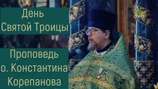 Проповедь иерея Константина Корепанова в День Святой Троицы (12.06.2022)