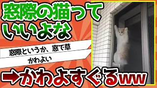 【2ch動物スレ】窓際の猫っていいよな